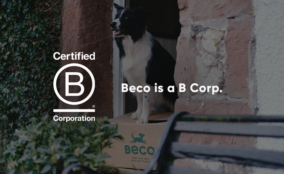 BECO_B_corporation