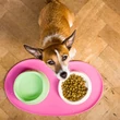 Beco_mat_ecofriendly_pet_bowls