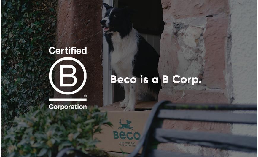 BECO B Minősítésű Vállalat